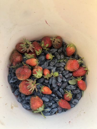 Дача 51 м² на участке 5 сот.