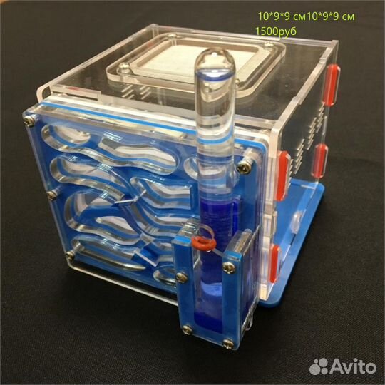 Муравьиная ферма формикарий