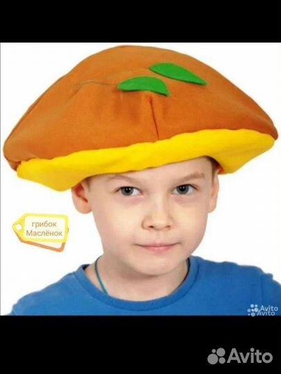 Шапочки грибов