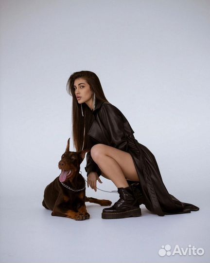 Фотосессия с доберманом