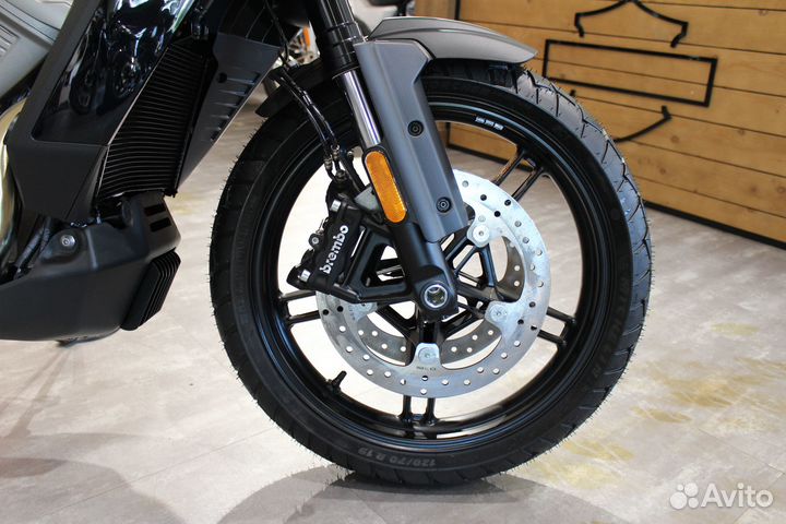 Harley-Davidson Pan America 1250 River Rock