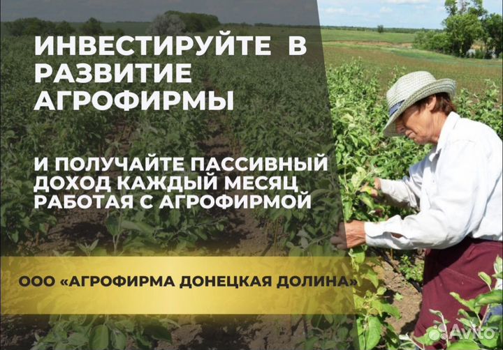 Инвестиции в бизнес
