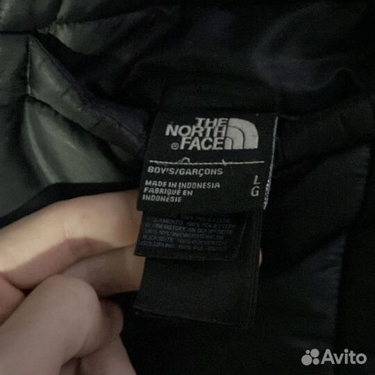 Микропуховик the north face