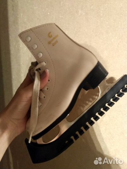 Коньки Монтана Голд