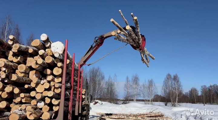 Колотые берёзовые дрова с доставкой в Чкаловск