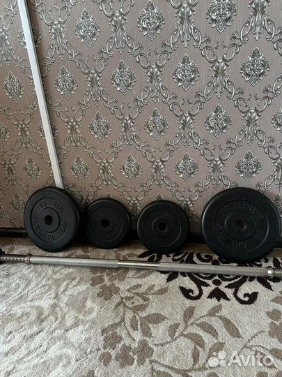 Штанга с блинами