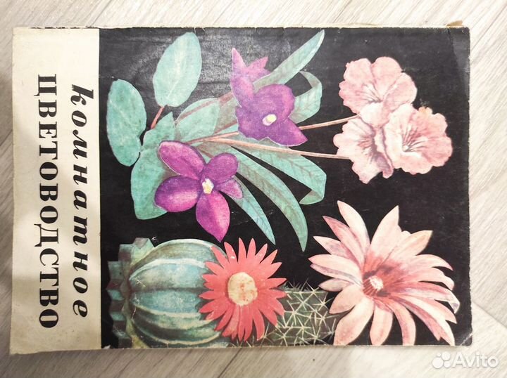 Энциклопедия Комнатные растения