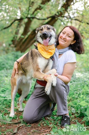 Молодая умка ждет своего человека