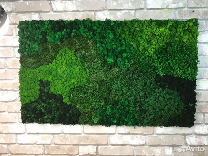 Мох стабилизированный оптом и в розницу