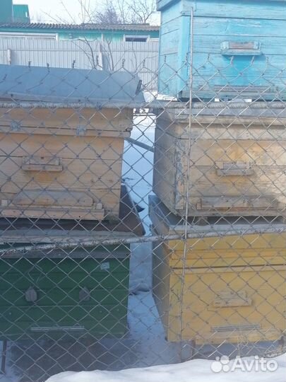 Продаю ульи б/у