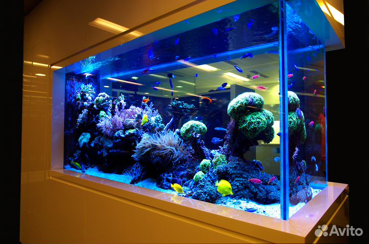 Обслуживание аквариумов любой сложности