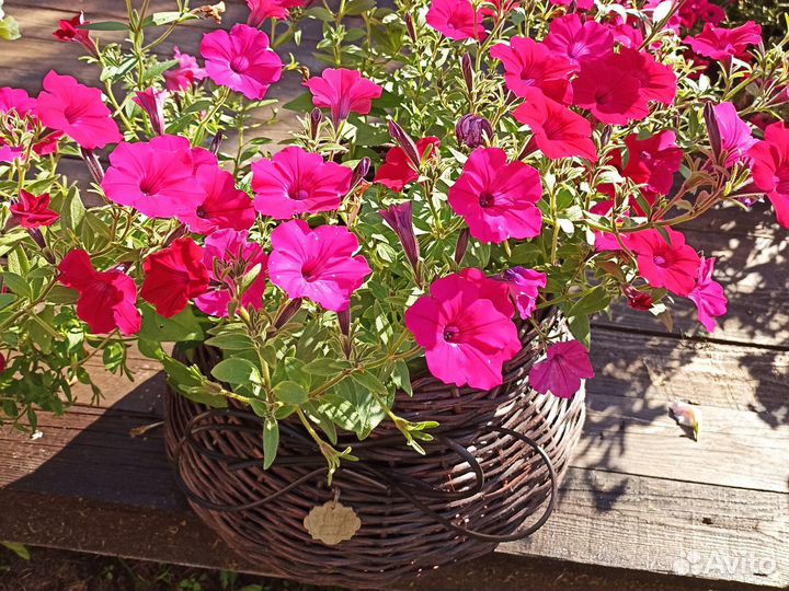 Кашпо из ротанга