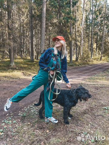 Выгул собак