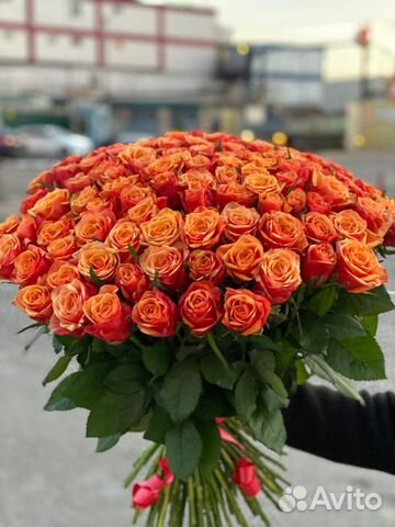 101 оранжевая роза 60см