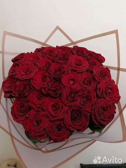 Роза красная голландия с доставкой