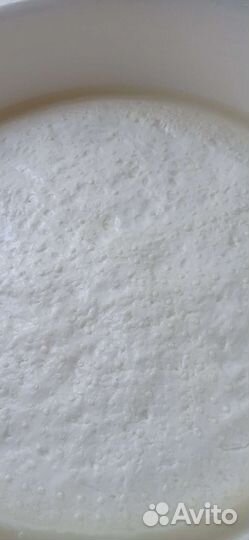 Молочные продукты