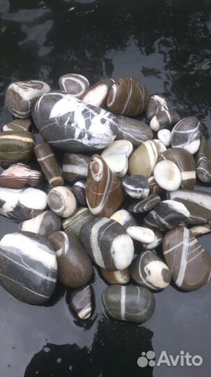 Камни для аквариума террариума от 1кг. декораций