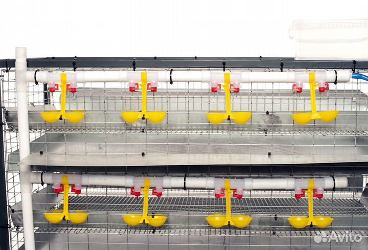 Клетки для перепелов на 200 птиц