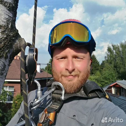 Спил и удаление деревьев