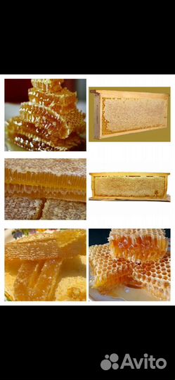 Горный мёд,майский,рамки,соты разнотравье мед