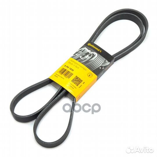 Ремень поликлиновой alfa romeo BMW buick fiat