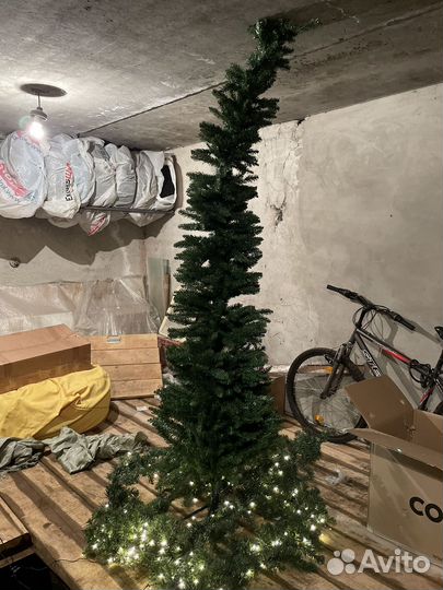 Ель новогодняя