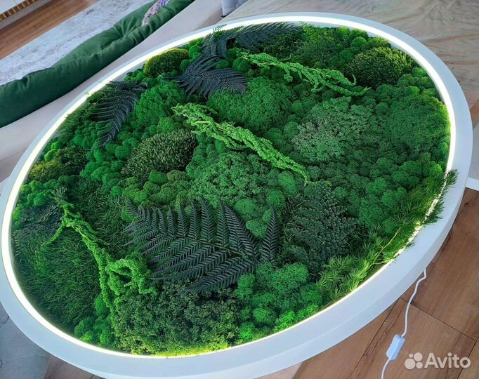 Панно из стабилизированного мха с подсветкой