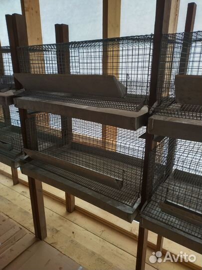 Клетки для перепелов - комплект