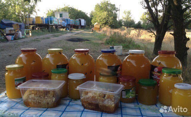 Мед натуральный 2023