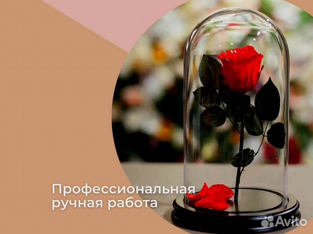 Роза в колбе. Вечная