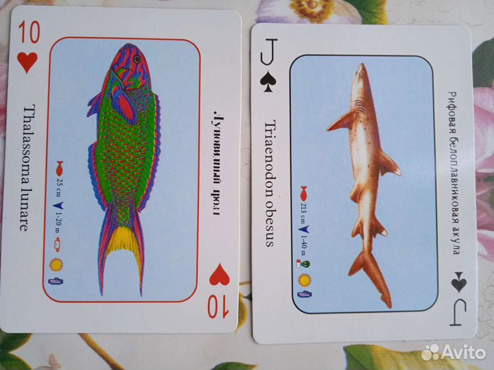 Игральные карты. Красное море