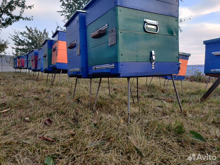 Подставки под ульи для пчел