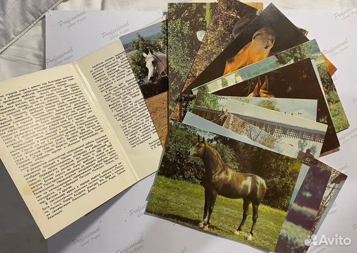 Наборы открыток