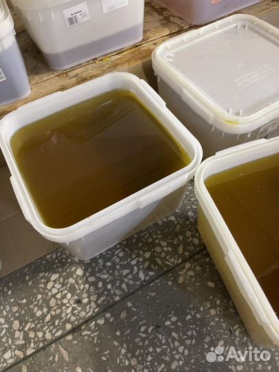 Алтайский мед оптом