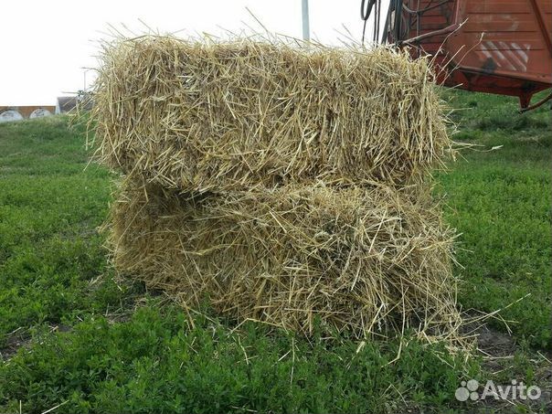 Сено в тюках