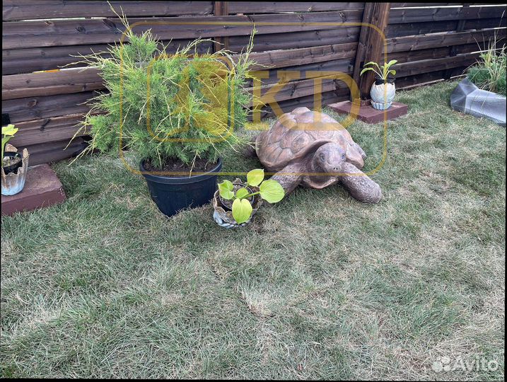 Доска для забора от производиеля