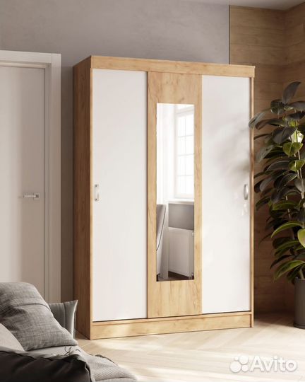 Шкаф Купе Бася