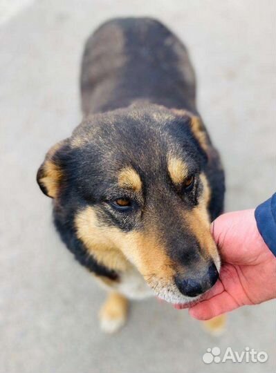 Гера. мизерный шанс на спасение