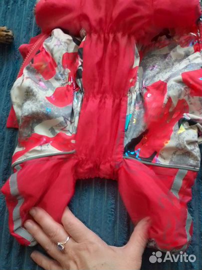 Одежда для собак