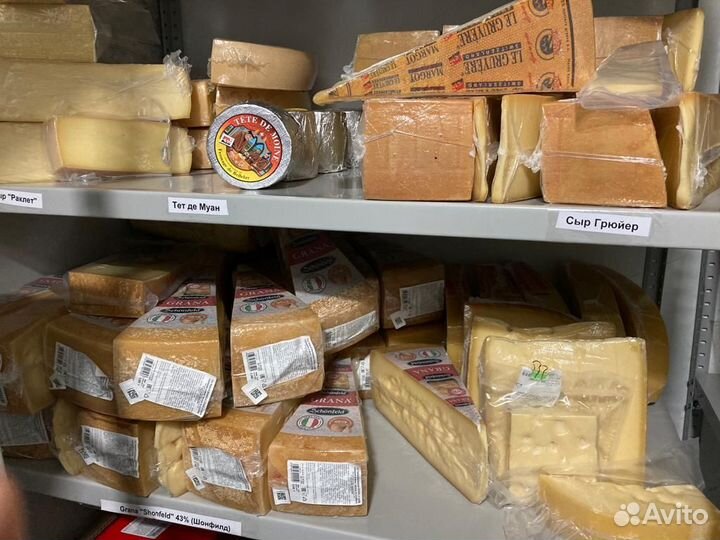 Сыры оптом доставка