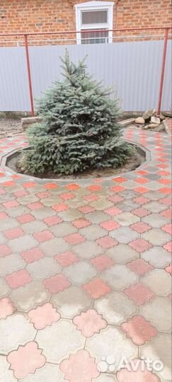 Услуги укладка тротуарной плитки