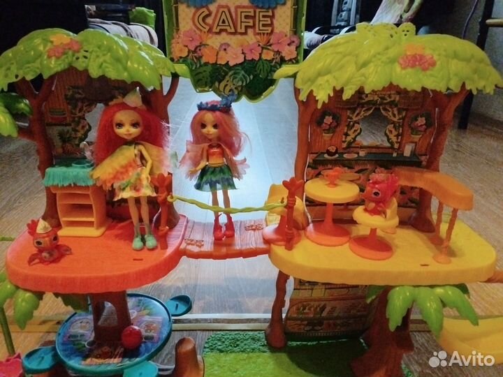 Энчентималс кафе попугаев