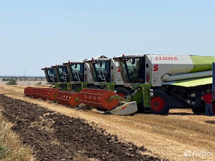 Оказывает услуги по сушке и хранению кукурузы