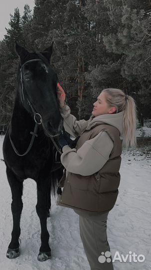 Репетитор по математике 1-9 классы