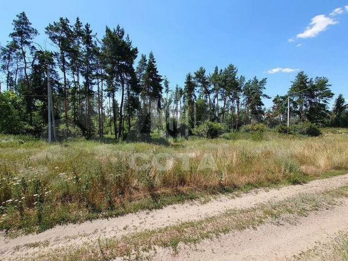 Участок 10,6 сот. (ИЖС)