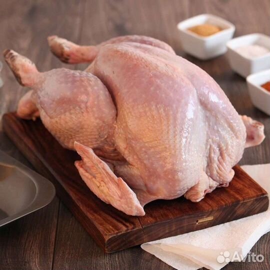 Мясо утка, курица, перепел, броль