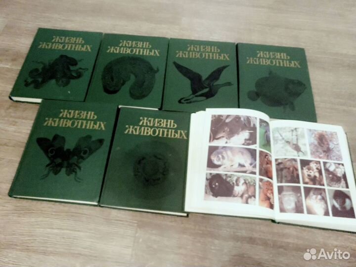 Энциклопедия животного мира