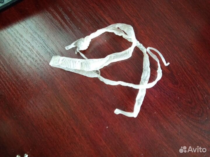 Змеиный выползок