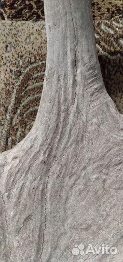 Оленьи рога