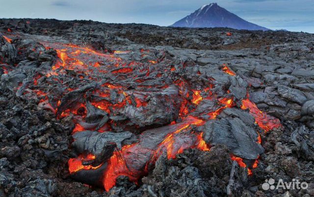 Перевозка пассажиров